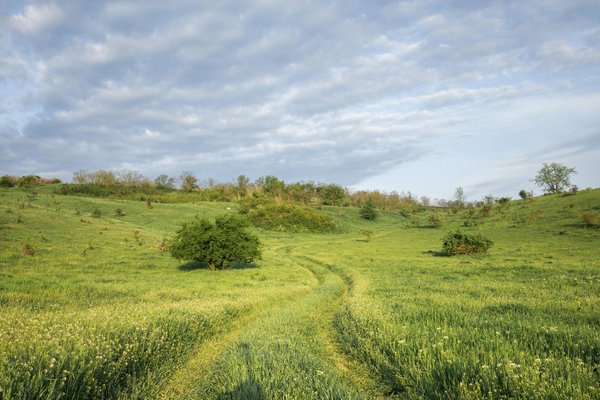 Les plus belles destinations pour faire du camping en montagne